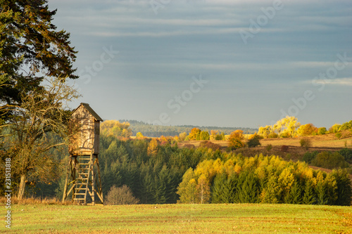 hunting tower at the edge of the forest in autumn scenery