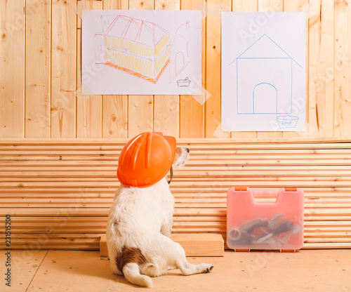 Dog as funny constructor with hardhat looking at blueprint of kennel photo