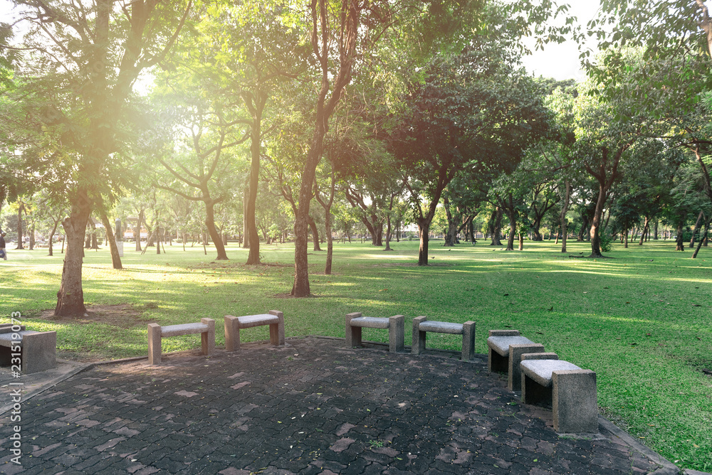 bench in public park with sunlight bench in public park with sunlight