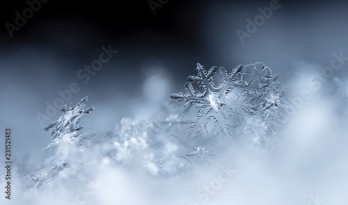 photo real snowflakes during a snowfall © vadim_fl