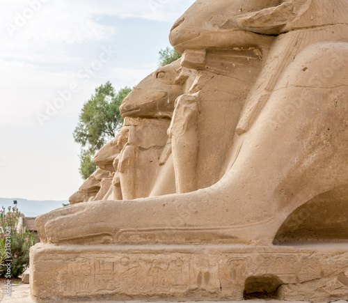 The temple in Karnak photo