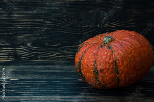 Pumpkin on a dark wooden background. photo