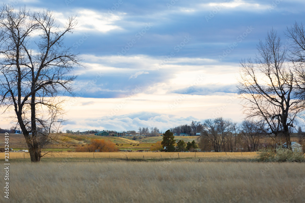 Twilight farm scene, rural with cattle in distance. Twilight farm scene, rural with cattle in distance.