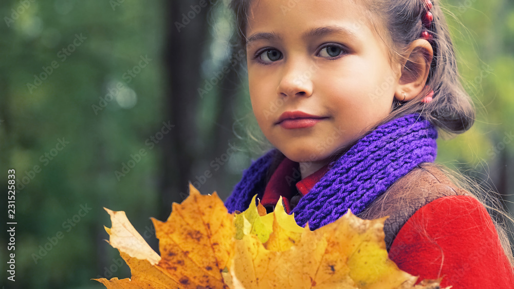 Autumn portrait of the nice little girl in red coat. In her hands a bouquet of yellow maple leaves. Sunny autumn day. Bright colors of autumn. Autumn portrait of the nice little girl in red coat. In her hands a bouquet of yellow maple leaves. Sunny autumn day. Bright colors of autumn.