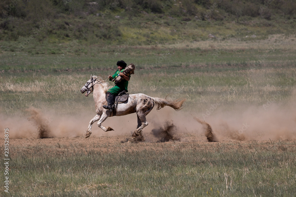 rider on horse rider on horse
