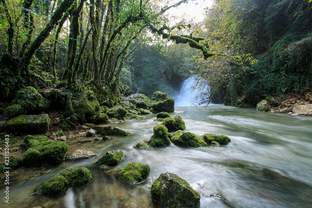 Obraz premium waterfalls of Trevi nel lazio. a Creek in the Woods in autumn
