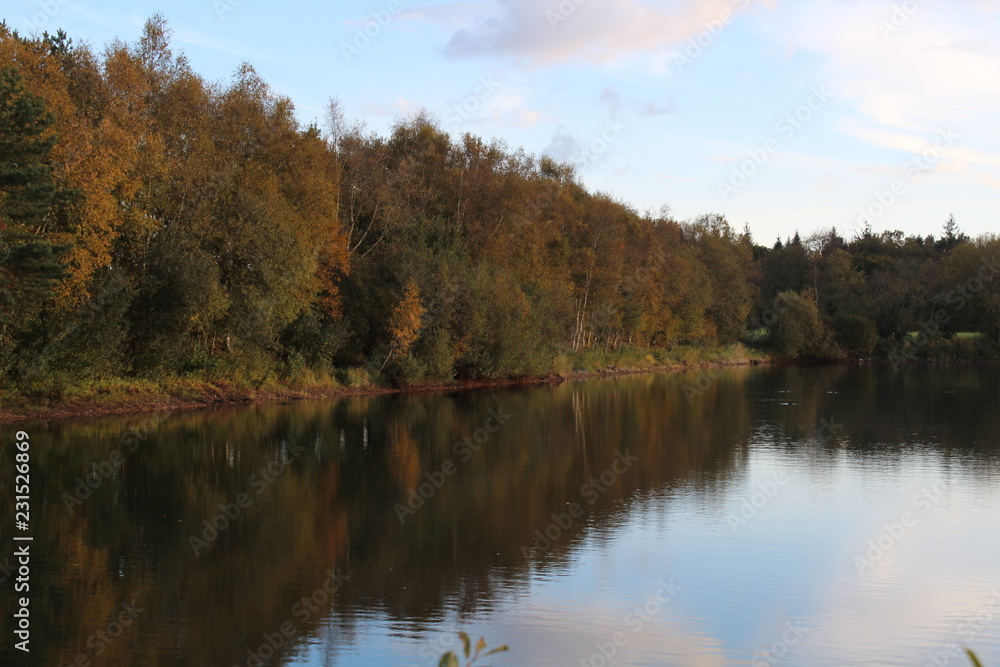 Reflection in a small lake