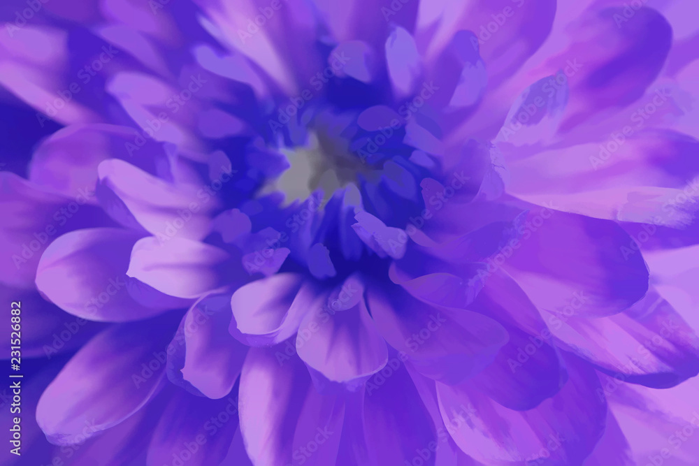 Obraz premium Purple chrysanthemum flower closeup