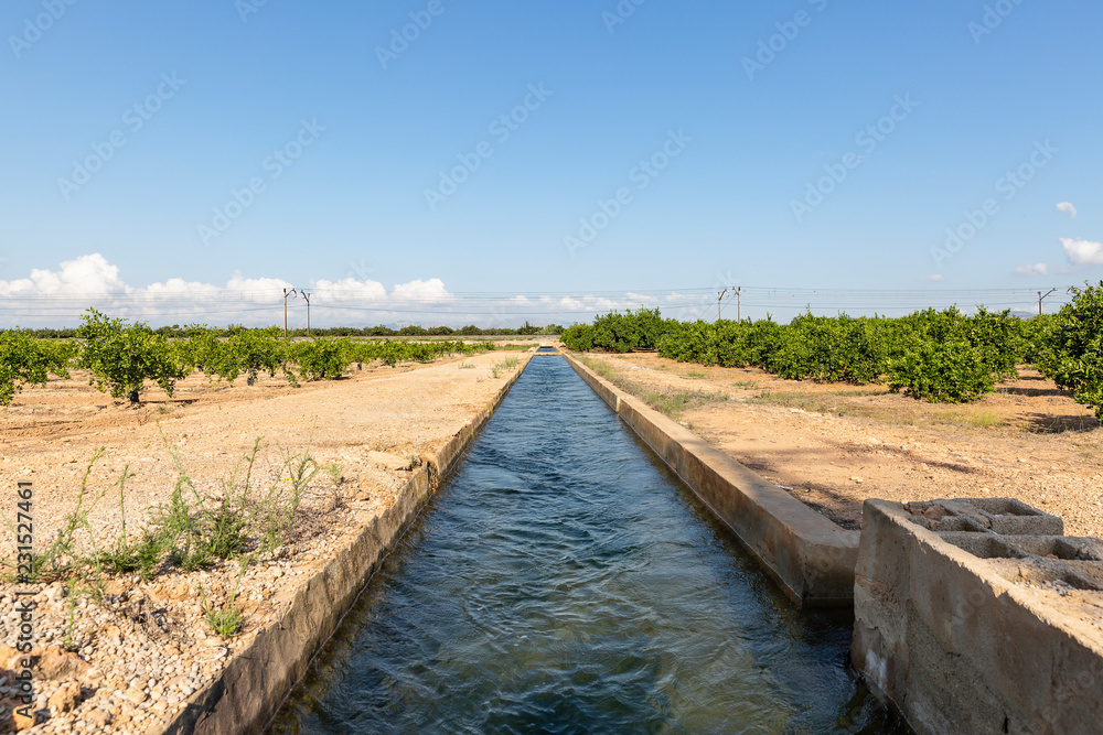 Fototapeta premium irrigation watercourse canal between Algemesi and Benifaio, province of Valencia, Spain