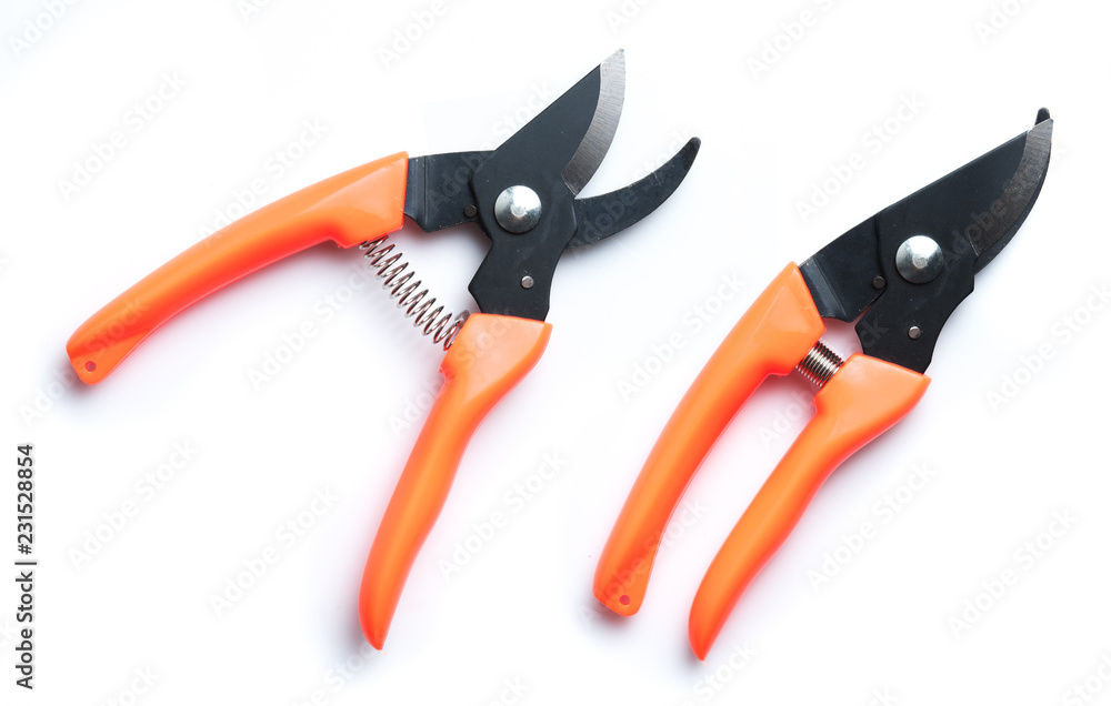 Obraz premium Pruning Shears isolated on white background