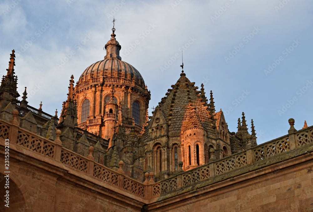 Salamanca. Castilla y León. Spain. Cathedral. Golden stone