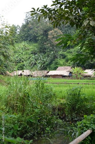village femmes des longs cous Thaïlande