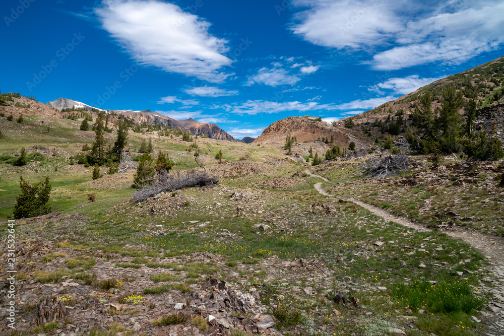 Winding dirt trail leads further into the mountains along the 20 Lakes Basin trail hike in California Eastern Sierra Nevada Mountains. Pretty meadow with wildflowers
