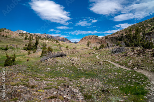 Winding dirt trail leads further into the mountains along the 20 Lakes Basin trail hike in California Eastern Sierra Nevada Mountains. Pretty meadow with wildflowers