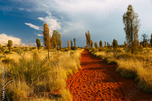 Uluru landscape , Australia photo