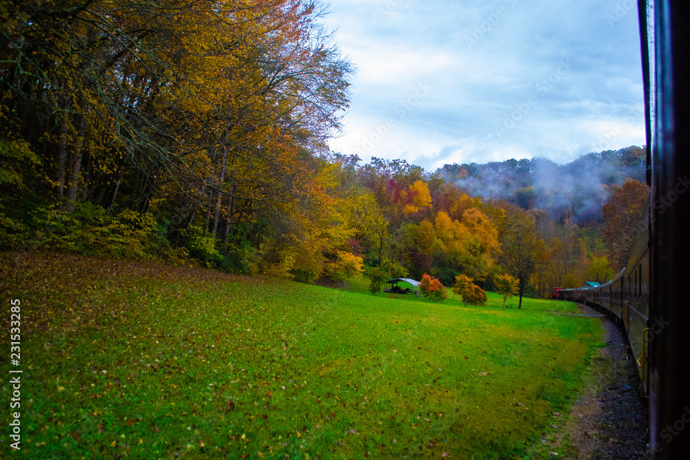 Naklejka premium Train in Fall