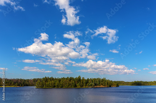 sunny summer landscape