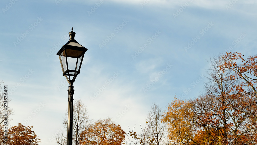 Lonely lantern and fall trees aganst the blue scy Lonely lantern and fall trees aganst the blue scy