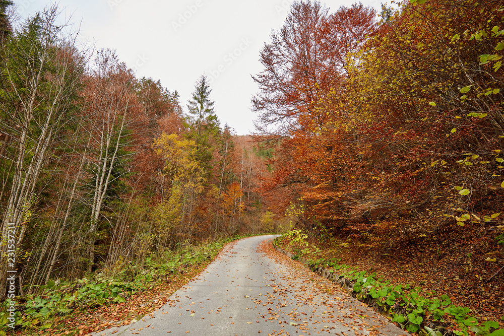 Obraz premium Empty road in the mountains