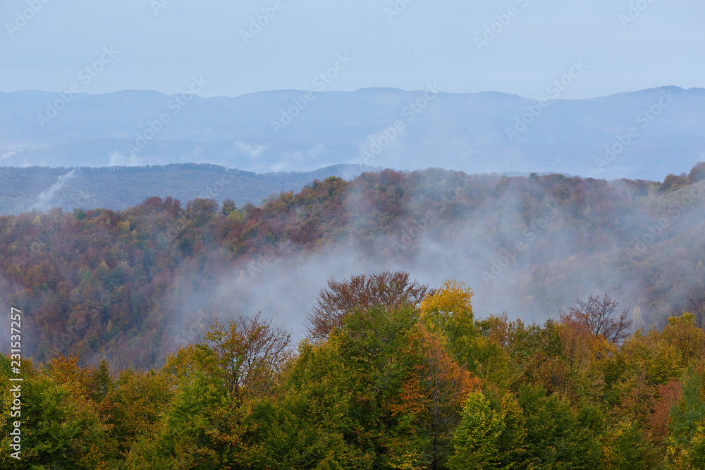 Fall landscape with colorful trees