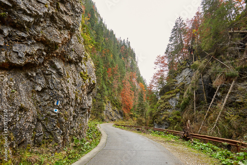 Empty road in the mountains