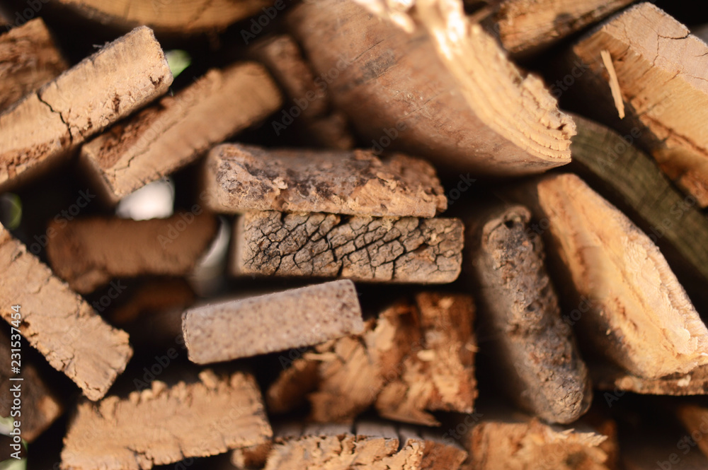 Felled trees in the forest industry by Felled trees in the forest industry by