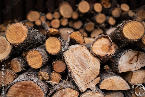 wood chops pile