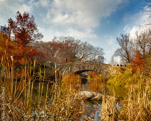 Autumn at the Gapstow Bridge photo