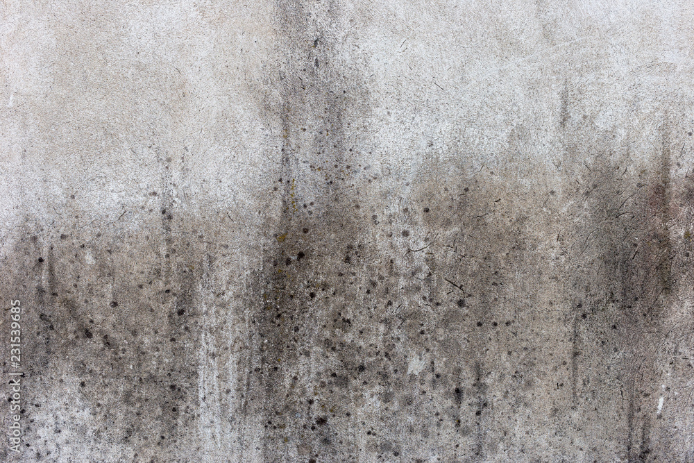 Obraz premium Grungy concrete wall as background texture