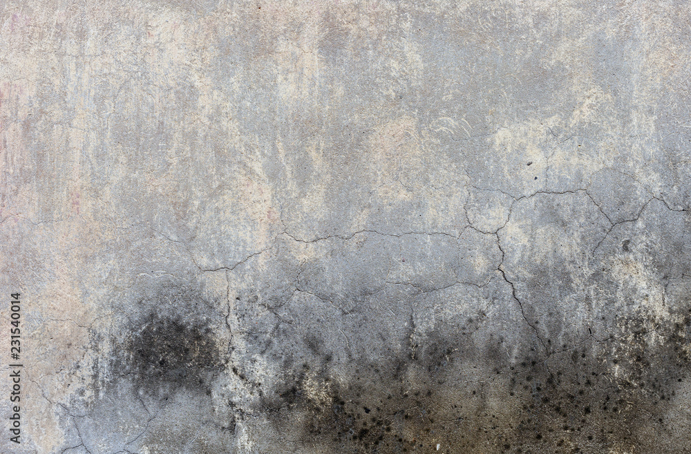Obraz premium Old grunge textures backgrounds. Perfect background with space.