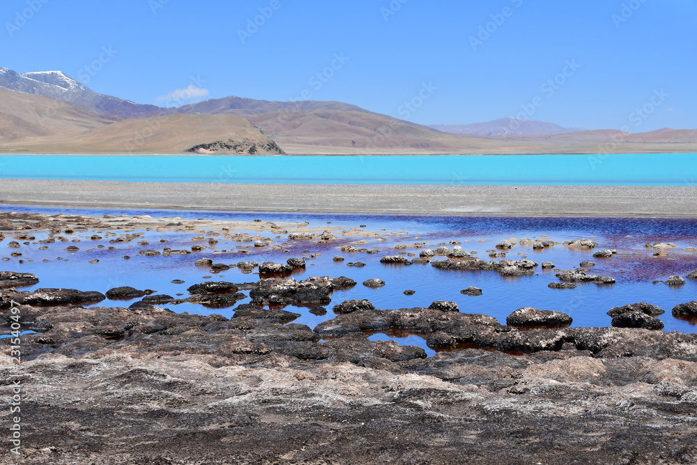Lakes of Tibet. Lake of Sam Co in summer in clear weather