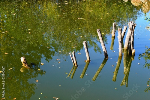 reflection in the lake
