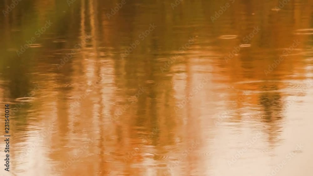 autumn background with rain water lake reflection yellow trees autumn background with rain water lake reflection yellow trees
