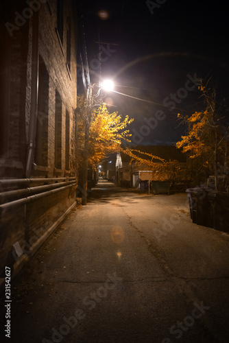 Fototapeta Naklejka Na Ścianę i Meble -  Dark and spooky vintage downtown urban city street alley with illuminated fall autumn tree leaves at night