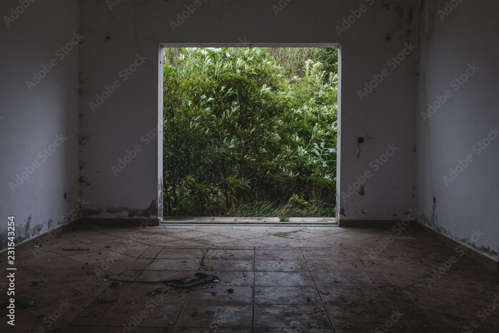 Abandoned Doorway leading to Green Plants