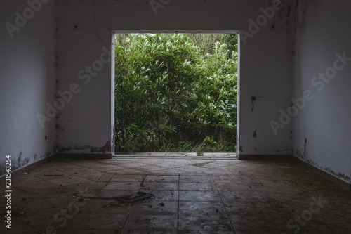 Abandoned Doorway leading to Green Plants