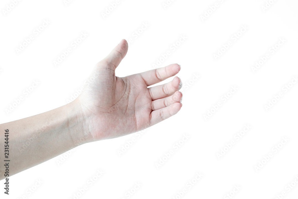 hand on a white background hand on a white background
