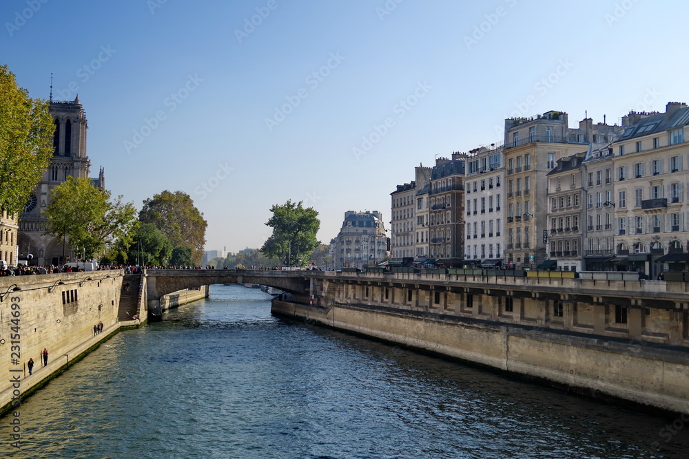 Naklejka premium La Seine au Quartier Latin, Paris