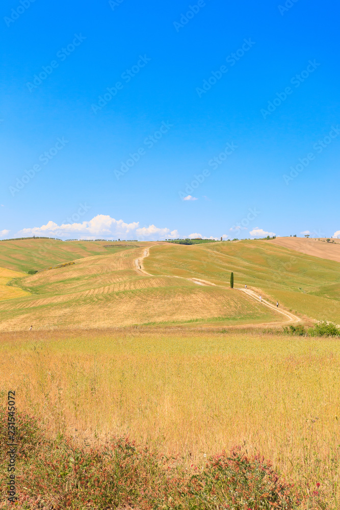 Tuscany hills landscape, Italy