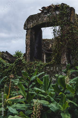Ruin overgrown with vines in Portuguese Azores