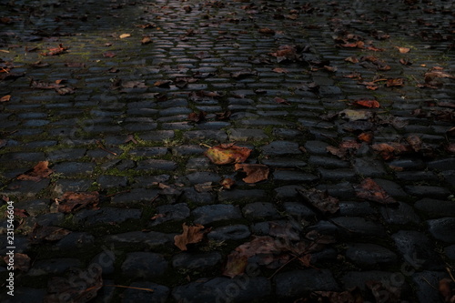Walkway in Angro 003
