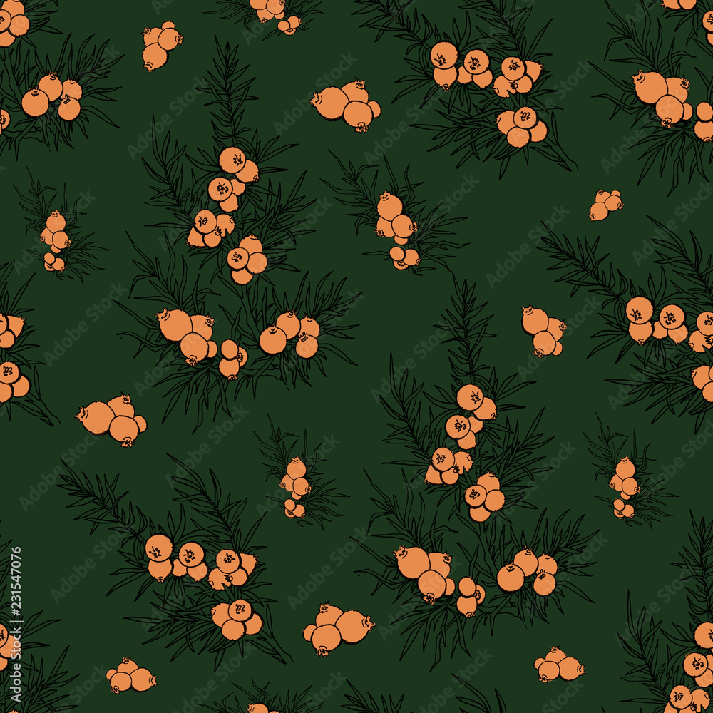 juniper. berries and branches. pattern with plants. evergreen. pattern