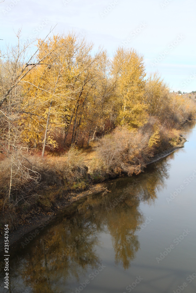 Obraz premium Autumn On The Riverbank, Gold Bar Park, Edmonton, Alberta
