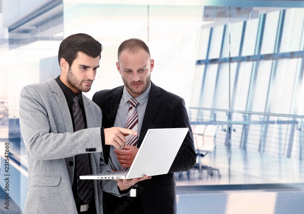 Fototapeta premium Businessmen working with laptop