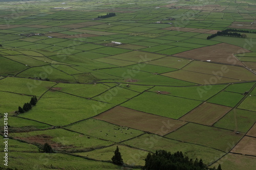 Terceira Landscape 001