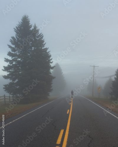 Wallpaper Mural foggy roadscape with figure Torontodigital.ca