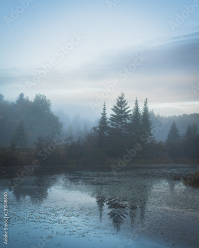 Wallpaper Mural foggy mountain lake Torontodigital.ca