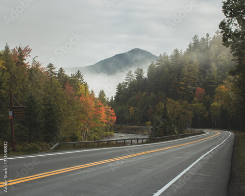 Wallpaper Mural foggy fall roadscape with mountain Torontodigital.ca