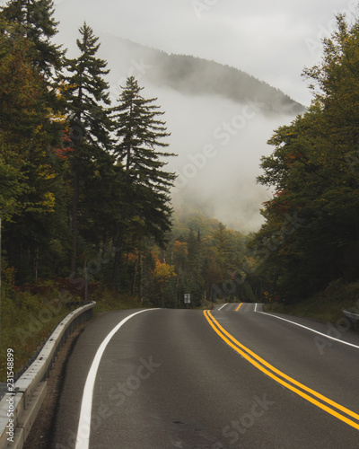 Wallpaper Mural foggy fall roadscape Torontodigital.ca