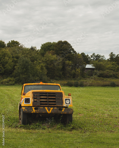 Wallpaper Mural old truck in a field Torontodigital.ca